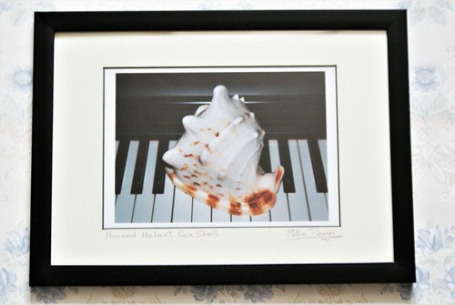 Size framed mount - size, in