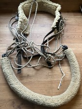 Pessoa Style Training Aid With