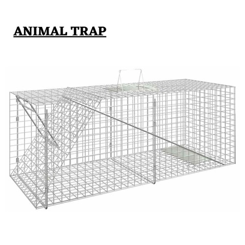 Animal trap humane rat - rat,