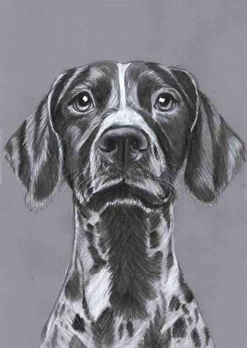 Original pencil drawing - pencil,