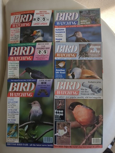 Vintage bird watching - vintage,