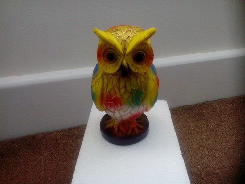 Colourful owl with - colourful,