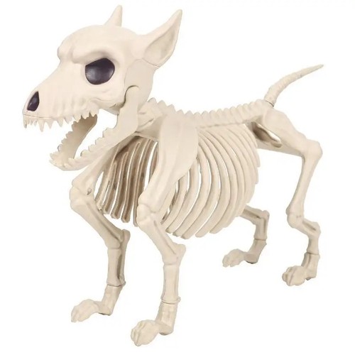 Halloween little wolf skeleton - halloween,