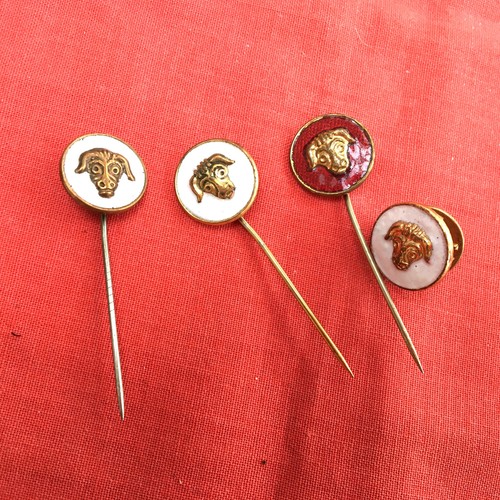 Raob charity stick badges - charity,
