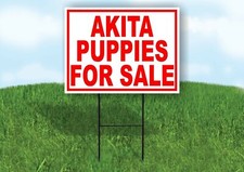 Akita PUPPIES FOR SALE RED