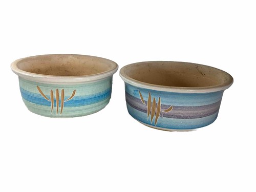 Lees pottery bluepurple - bluepurple, set