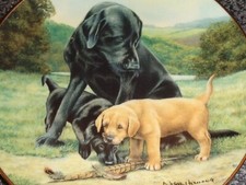 Lovely Franklin Mint Labrador