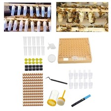 Bee Queen Rearing Grafting Kit