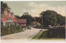 Burley, New Forest, F.G.O
