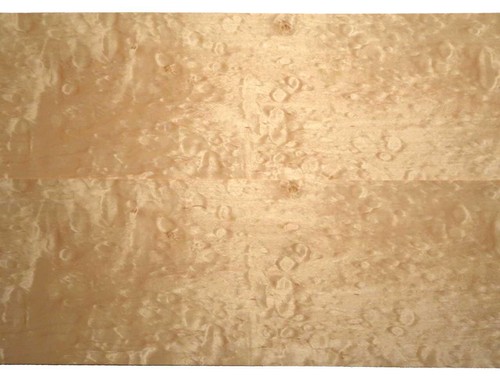 Shell maple veneer quilted - shell,