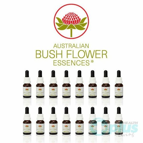 Australian bush flower - bush,