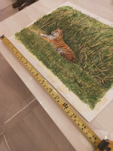Signed the artist bengal - signed, by