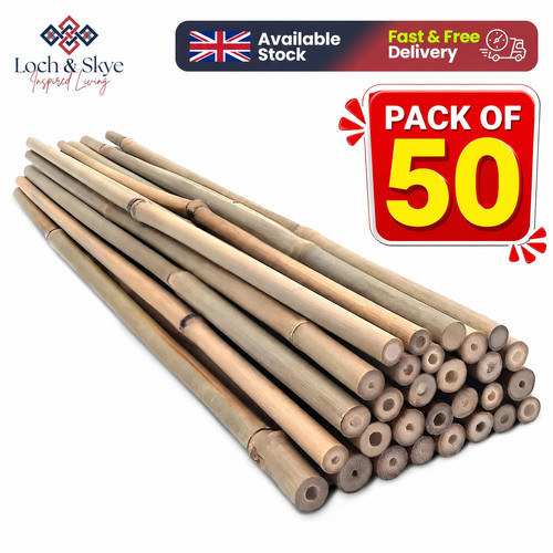 Bamboo plant canes - canes,