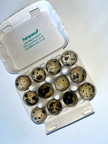 Quail eggs pack - pack, free