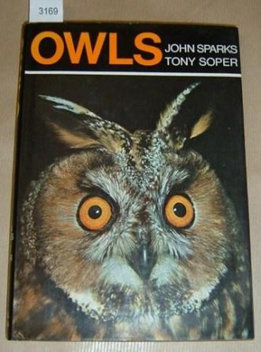 Job lot bird owl - job,