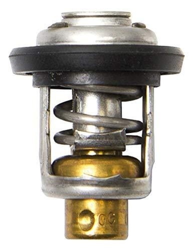 Thermostat for 25hp - thermostat,