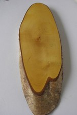 Oval Display Plinth Solid Wood Birch  Model Trophy Stand Base 41cm x 13cm glossy