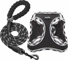 haapaw Dog Harness and Lead