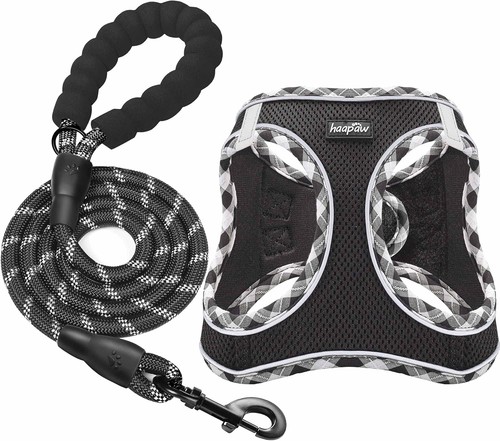 Haapaw dog harness and - harness,