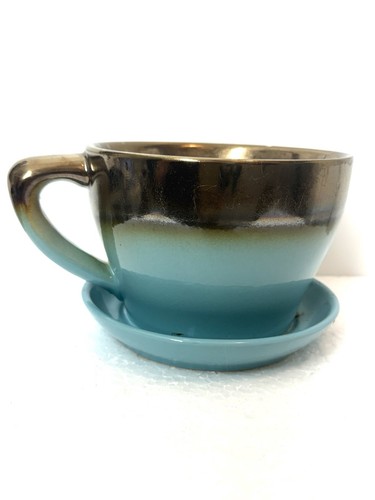 Teacup saucer planter plant - teacup,