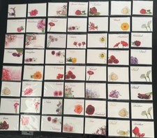 ShredAstic®️FUNERAL