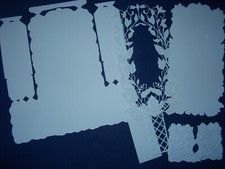 Wild Stepper Card (c)