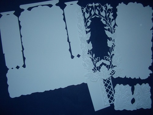 Wild stepper card - stepper, (c)