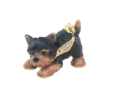 Whiskey the yorkie dog - whiskey,
