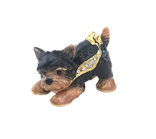 Whiskey the yorkie - whiskey,