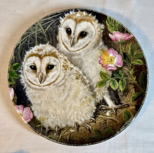 Wedgwood the baby - baby, by