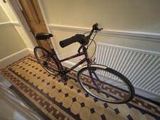 Raleigh Pioneer Vintage Hybrid