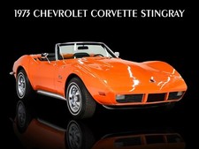 1973 Chevrolet Corvette Stingray NEW METAL SIGN: Original Look in Orange