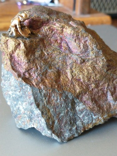 Chalcopyrite peacock ore - ore, w/