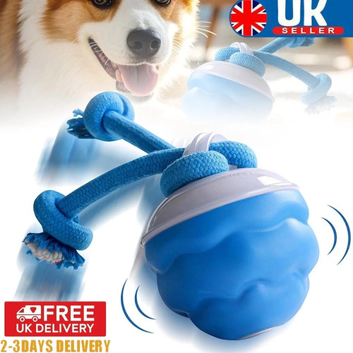 Interactive dog toys - dog, ball