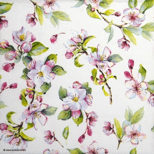 Single lunch paper - single,