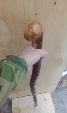 Blackthorn Walking Stick
