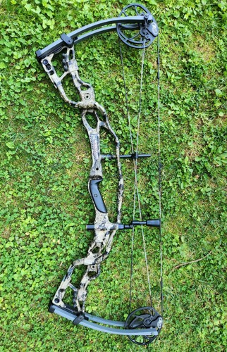 Hoyt carbon spyder custom - spyder,