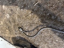 David brown Break Pipe