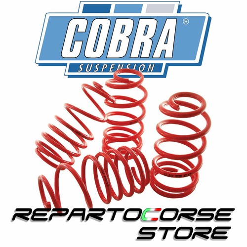 Kit lowered suspension - 4,
