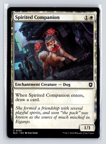 Spirited companion 155 - 155, regular