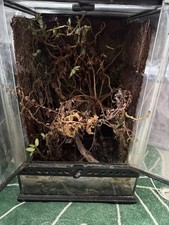 Exo Terra Pro Terrarium X-Small Tall - - 30x30x45cm/ 12"x12"x18"