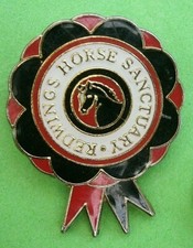 F580*) Enamel Redwings Horse Pony Sanctuary rosette tie lapel pin badge