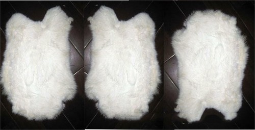 10pcs genuine rabbit skin - genuine,