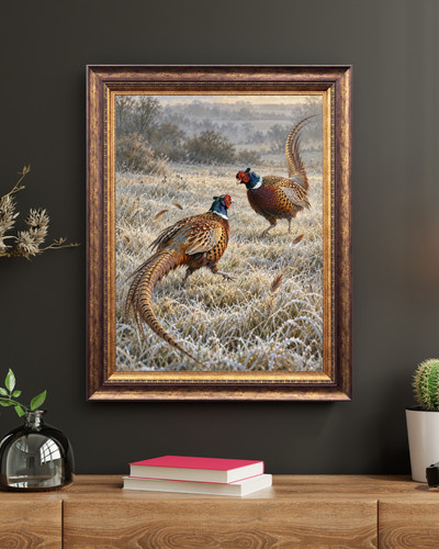Two pheasants frosty - pheasants,
