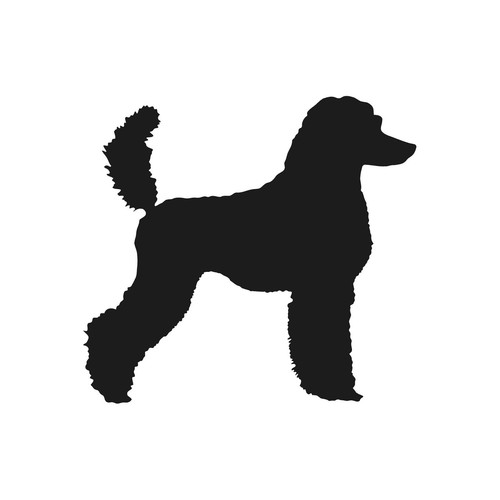 Standard poodle vinyl decal - standard,
