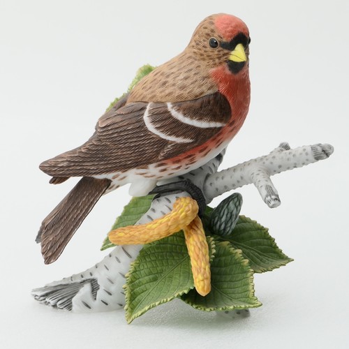 Lenox common redpoll porcelain - common,