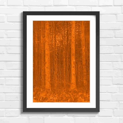 Dark forest tree trunks nature - dark,