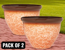 Bell Squat Planter 31cm Petal