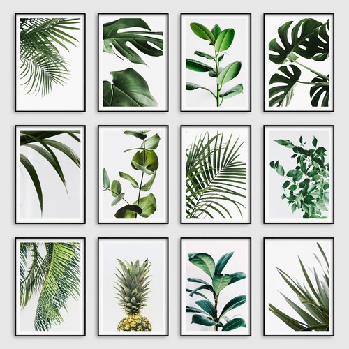 Botanical tropical leaves wall - tropical,