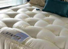 Ortho Classic Orthopaedic